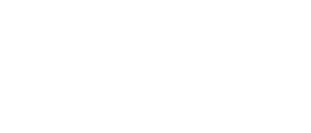 logo Sanspray